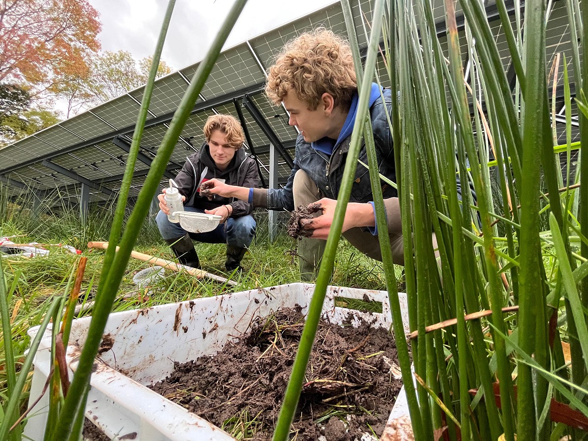 Onderzoek naar bodemleven bij Zonneweide De Blauwe Poort